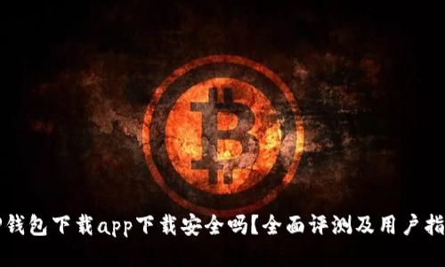 TP钱包下载app下载安全吗？全面评测及用户指南