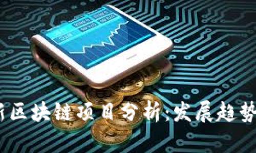 2023年最新区块链项目分析：发展趋势与投资机会