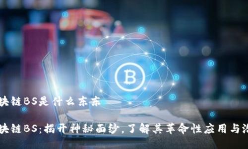 区块链BS是什么东东
区块链BS:揭开神秘面纱,了解其革命性应用与潜力