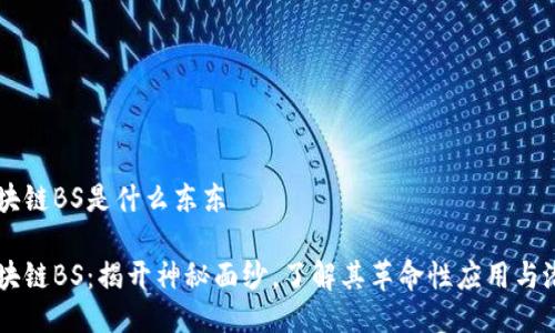 区块链BS是什么东东
区块链BS:揭开神秘面纱,了解其革命性应用与潜力
