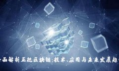全面解析正规区块链：技