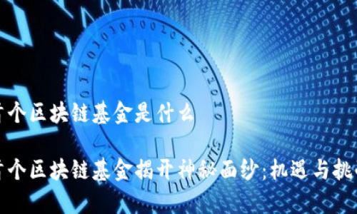 深圳首个区块链基金是什么

深圳首个区块链基金揭开神秘面纱：机遇与挑战并存