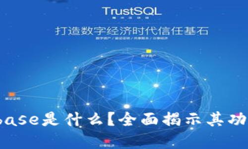  区块链Coinbase是什么？全面揭示其功能与未来发展