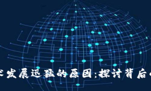 br
区块链技术发展迅猛的原因：探讨背后的驱动因素