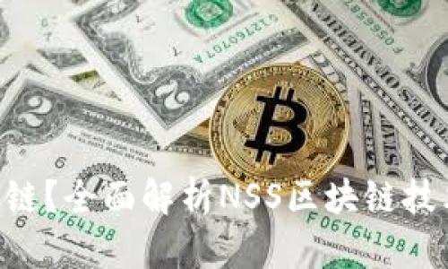 NSS是什么区块链？全面解析NSS区块链技术及其应用价值