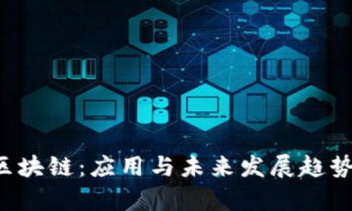 bty区块链：应用与未来发展趋势详解