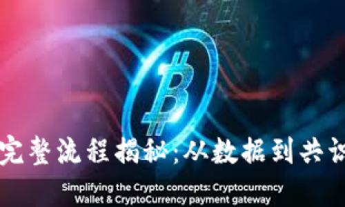 区块链的完整流程揭秘：从数据到共识的每一步