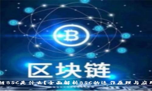 区块链BSC是什么？全面解析BSC的运作原理与应用前景