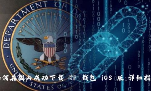 如何在国内成功下载 TP 钱包 iOS 版：详细指南