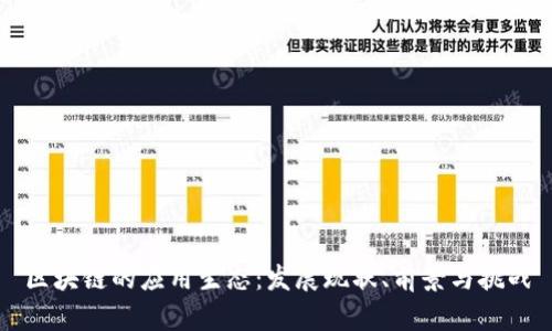 区块链的应用生态：发展现状、前景与挑战