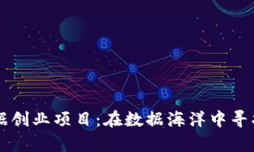 区块链大数据创业项目：在数据海洋中寻找财富的宝藏