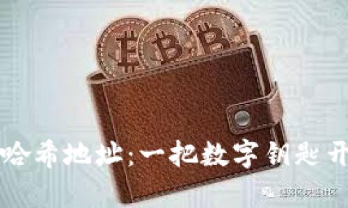 区块链中的哈希地址：一把数字钥匙开启分散宝库