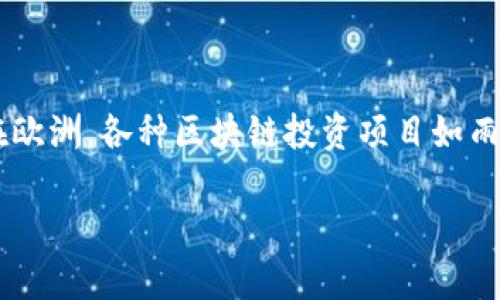 在这个数字化快速发展的时代，区块链技术已经从最初的比特币代币转变为一个具有广泛应用潜力的工具。尤其是在欧洲，各种区块链投资项目如雨后春笋般涌现，吸引了大量投资者的关注。那么，今天就让我们一起探讨一下欧洲区块链投资项目的前景和发展趋势。

### 数字金库：欧洲区块链投资项目的黄金时代