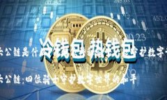 区块链四大公链是什么？