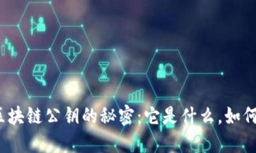 揭秘区块链公钥的秘密：它是什么，如何运作？