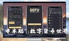 区块链中的“中本聪”：