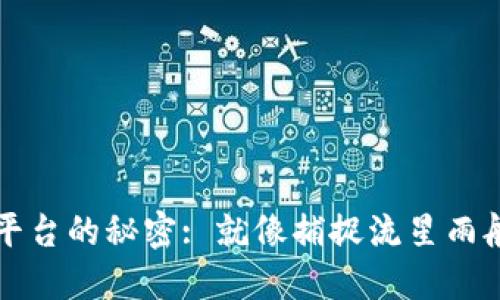  区块链交易平台的秘密: 就像捕捉流星雨般的投资机会！