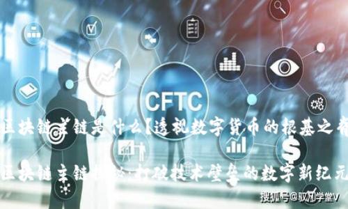 区块链主链是什么？透视数字货币的根基之脊

区块链主链探秘：打破技术壁垒的数字新纪元