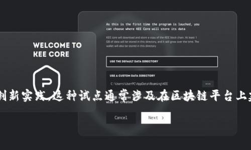 区块链加版权试点是指在版权管理领域采用区块链技术，以实现更高效、更透明的版权保护与管理的创新实践。这种试点通常涉及在区块链平台上建立版权信息的登记、跟踪和交易，旨在为创作者、出版商及其他相关方提供更加可靠的版权保护机制。

### 区块链加版权试点：让创意不再迷失于数字海洋