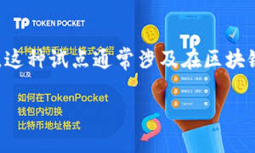 区块链加版权试点是指在版权管理领域采用区块链技术，以实现更高效、更透明的版权保护与管理的创新实践。这种试点通常涉及在区块链平台上建立版权信息的登记、跟踪和交易，旨在为创作者、出版商及其他相关方提供更加可靠的版权保护机制。

### 区块链加版权试点：让创意不再迷失于数字海洋