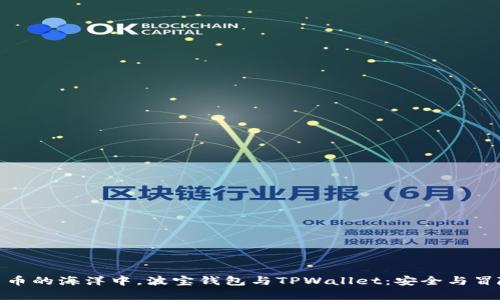 在数字货币的海洋中，波宝钱包与TPWallet：安全与冒险的博弈