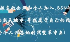 区块链BSN是什么区块链（