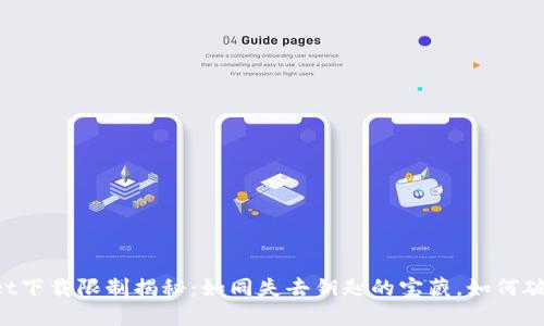 苹果TPWallet下载限制揭秘：如同失去钥匙的宝藏，如何破解它的秘密？