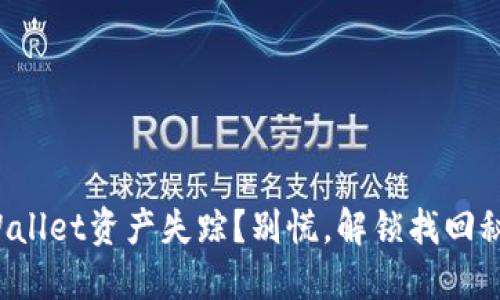 TPWallet资产失踪？别慌，解锁找回秘籍！