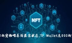 如同把你的宠物喂养到最