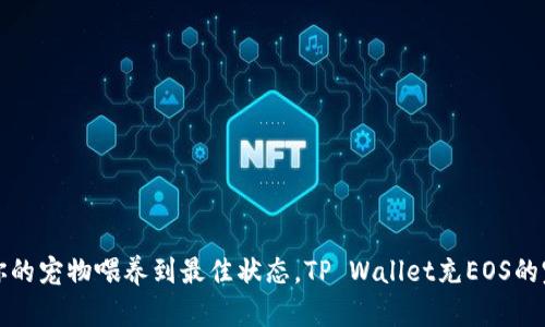 如同把你的宠物喂养到最佳状态，TP Wallet充EOS的完美指南