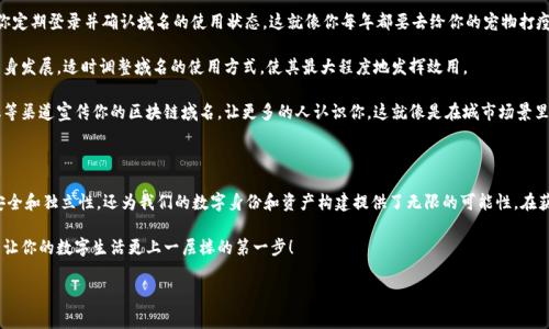 什么是永久免费区块链域名？

在数字时代，域名就像我们的名字。想象一下，如果你要在一个庞大的城市里找到你自己家，可是你的家没有门牌号，别人怎么能找到你呢？所以，域名就是我们在互联网这个巨大城市中的“门牌号”。而当我们谈到区块链域名时，事情就更有趣了！

区块链域名是一种新兴的域名形式，它基于区块链技术，提供了一种去中心化和防篡改的域名管理方式。简单来说，区块链域名不仅仅是一个网址，还代表着一种不可替代的身份和资产。

永久免费区块链域名的魅力

想象一下，你可以拥有一个永恒的、不会被侵犯的域名，这听起来是不是很吸引人？就像你拥有了一块土地，这块土地永远是你的，除非你愿意出让。永久免费区块链域名正是这种愿景的现实。

第一个吸引点是“永久免费”。在传统的互联网域名注册中，我们通常需要每年续费，而区块链域名的优势在于，它们可以通过一些创新的手段，如一次性支付，获得永久的所有权。这就相当于买房子一次性付清，不用担心后续的物业管理费和税费。

第二个吸引点是去中心化的特性。区块链技术构建了一个分布式的网络，任何人都无法随意修改你在链上的信息。这意味着，域名的持有者可以完全控制自己的域名，拥有绝对的安全和独立性。这比起传统域名管理员可以随时暂停你的域名，不得不说安全感大大提升。

为什么你需要一个区块链域名？

在这个数字化越来越深的时代，越来越多的人开始意识到区块链域名的价值。那它为什么对你特别重要呢？

首先，区块链域名为你提供了更高的安全性。很多企业和个人在互联网上的身份都需要保护，而传统域名由于其中心化的特性，往往容易遭受黑客攻击或者域名劫持。但是区块链域名通过加密技术为你的域名提供了额外的防护，仿佛在给你的家装上了一道无形的护墙。

其次，区块链域名为你的数字资产保驾护航。随着加密货币和数字资产的流行，越来越多的人开始意识到，域名本身也可以视为一种资产。拥有一个独特的区块链域名，它不仅代表你的个人品牌，还能在未来的交易中，成为一种有价值的数字资产。

最后，区块链域名在数字身份的构建上具有不可替代性。随着Web3.0的到来，每个人都希望在互联网的世界中拥有一个独一无二的身份。区块链域名就是这种身份最好的体现，它不仅可以绑定你的社交信息，还能结合去中心化应用，实现更多的功能。

如何获取一个永久免费区块链域名？

想要获得一个永久免费区块链域名，其实并没有想象中那么复杂。跟传统的域名注册流程稍微有一点不同，但也并不是让人觉得头疼的事情。

首先，你需要找到一个值得信赖的区块链域名注册平台。这个平台就像你买房子的中介，选择一个靠谱的中介可以极大地提升你的购房体验。当然，你也要确保这个平台是支持永久域名注册的，这样你才能真正实现“永久免费”的承诺。

接下来，注册流程主要包括创建一个账户、通过数字钱包进行支付、选择一个适合自己的域名，然后提交申请。在这一过程中，如果你有任何疑问，别害羞，随时可以联系平台的客服，他们会像热心的邻居一样，给你解答一切疑问。

完成这些步骤后，你就可以坐等你的区块链域名“入驻”了。完成后的域名可以在任何地方使用，真是让人有点“小炫耀”的感觉，就像告诉别人：“嘿，我有一个永远不会过期的域名哦！”

如何维护和使用你的区块链域名？

拥有了一个区块链域名后，如何维护和使用就成了新的课题。其实，这一点和养一只宠物差不多，你需要好好关注它，才能让它长得健康快乐。

首先，定期检查域名的状态是非常必要的。尽管是“永久免费”的域名，但有些平台可能仍然会要求你定期登录并确认域名的使用状态。这就像你每年都要去给你的宠物打疫苗，确保它的健康。

其次，与时俱进。互联网技术更新迭代的速度非常快，新的趋势层出不穷。你可以根据市场需求和自身发展，适时调整域名的使用方式，使其最大程度地发挥效用。

最后，不要忘记宣传。一个好域名往往能给你带来更多的流量和关注度。你可以通过社交媒体、论坛等渠道宣传你的区块链域名，让更多的人认识你。这就像是在城市场景里，给你的信箱贴上了炫酷的标签，让每一个经过的人都能被吸引住。

小结

永久免费区块链域名是数字时代的一大创新。通过去中心化的特性，它不仅为用户提供了更高的安全和独立性，还为我们的数字身份和资产构建提供了无限的可能性。在获取、维护及使用的过程中，我们也能体验到互联网的魅力。

所以，亲爱的朋友们，若是你还没有一个专属于自己的区块链域名，那么不妨考虑一下，或许这就是让你的数字生活更上一层楼的第一步！

区块链域名, 永久域名, 去中心化, 数字身份/guanjianci