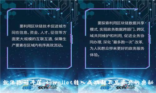 就像隐形斗篷：tpwallet转入成功却不见资产的奥秘