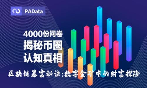 区块链暴富秘诀：数字金矿中的财富探险