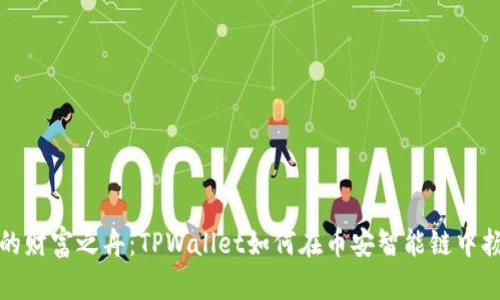 掌控你的财富之舟：TPWallet如何在币安智能链中扬帆起航