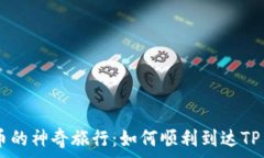   抹茶Pig币的神奇旅行：如