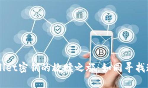 丢失TPWallet密钥的救赎之旅：如同寻找遗失的宝藏