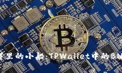 “隐藏在数字海洋里的小船：TPWallet中的BNB手续费大揭秘”