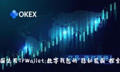 在中国使用TPWallet：数字钱