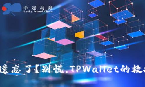 助记词遗忘了？别慌，TPWallet的救援指南！