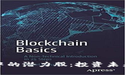 区块链浪潮中的潜力股：投资未来的金融巨舰