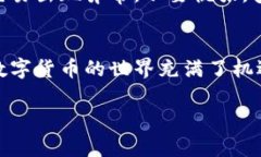 在TP Wallet中进行波场（T