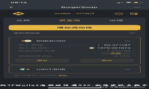 当你的TPWallet电脑版没有BSC，就像发现鱼找不到水！