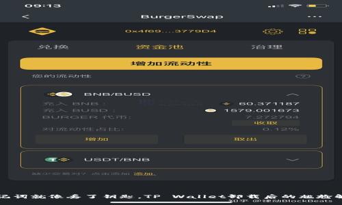 丢了助记词就像丢了钥匙，TP Wallet卸载后的尴尬解决方案