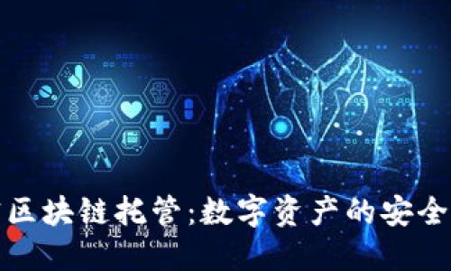 解密区块链托管：数字资产的安全保镖