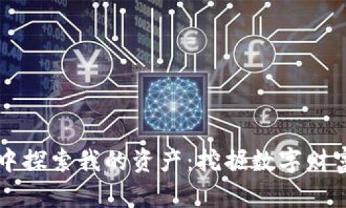 在TPWallet中探索我的资产：挖掘数字财富的宝藏之旅