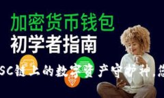 TPWallet：在BSC链上的数字资