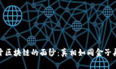 : 揭开区块链的面纱：真相