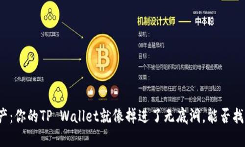 丢失的数字资产：你的TP Wallet就像掉进了无底洞，能否找到光明的出口？