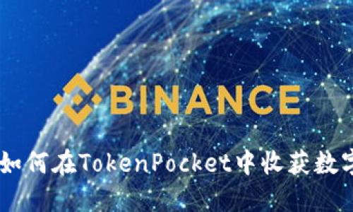 小猪的口袋：如何在TokenPocket中收获数字资产的乐趣