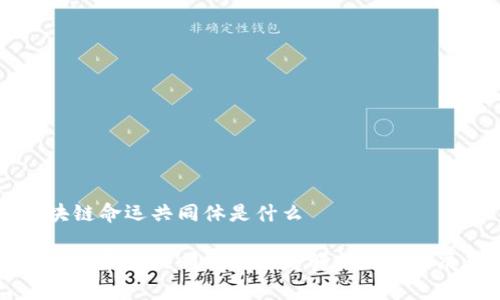 区块链命运共同体是什么

区块链命运共同体的深度解析与未来展望